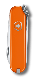 Load image into Gallery viewer, VICTORINOX 0.6223.83G Classic SD Classic Colors Knife
