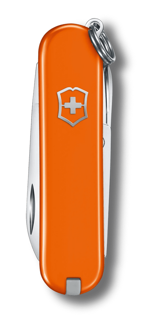 VICTORINOX 0.6223.83G Classic SD Classic Colors Knife