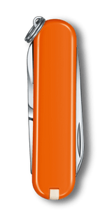 Load image into Gallery viewer, VICTORINOX 0.6223.83G Classic SD Classic Colors Knife

