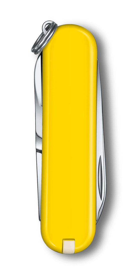 VICTORINOX 0.6223.8G Classic SD Classic Colors Knife